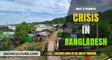 Understanding the Rohingya Crisis in Bangladesh: Causes, Impact, and Global Response