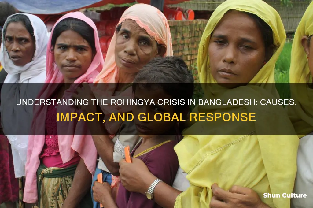what is rohingya crisis in bangladesh