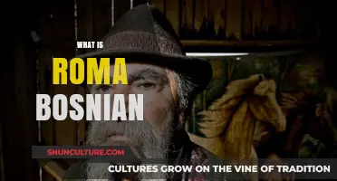 Understanding Roma Bosnian Culture: History, Traditions, and Identity Explained