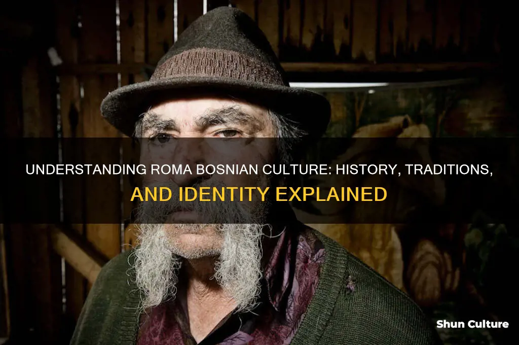 what is roma bosnian