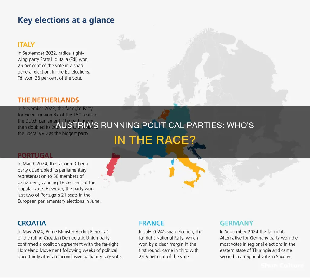 what is running political party in austria