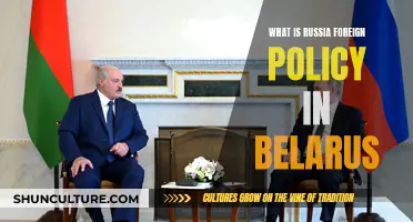 Russia's Foreign Policy in Belarus: An Analysis