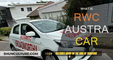 Understanding Australia's RWC Car Inspection