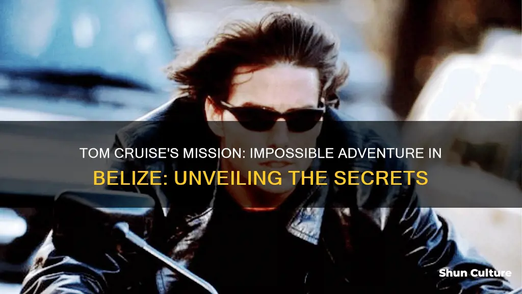 what is said to tom cruise on mi about belize