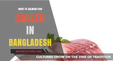 Exploring Bangladesh's Unique Name for Salmon Fish: A Culinary Insight