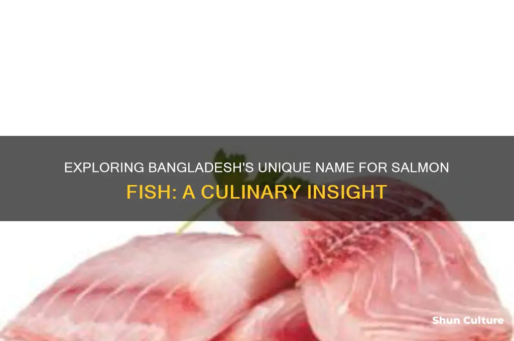 what is salmon fish called in bangladesh