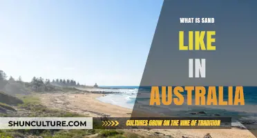 Exploring Australia's Unique Sand: Texture, Color, and Coastal Diversity