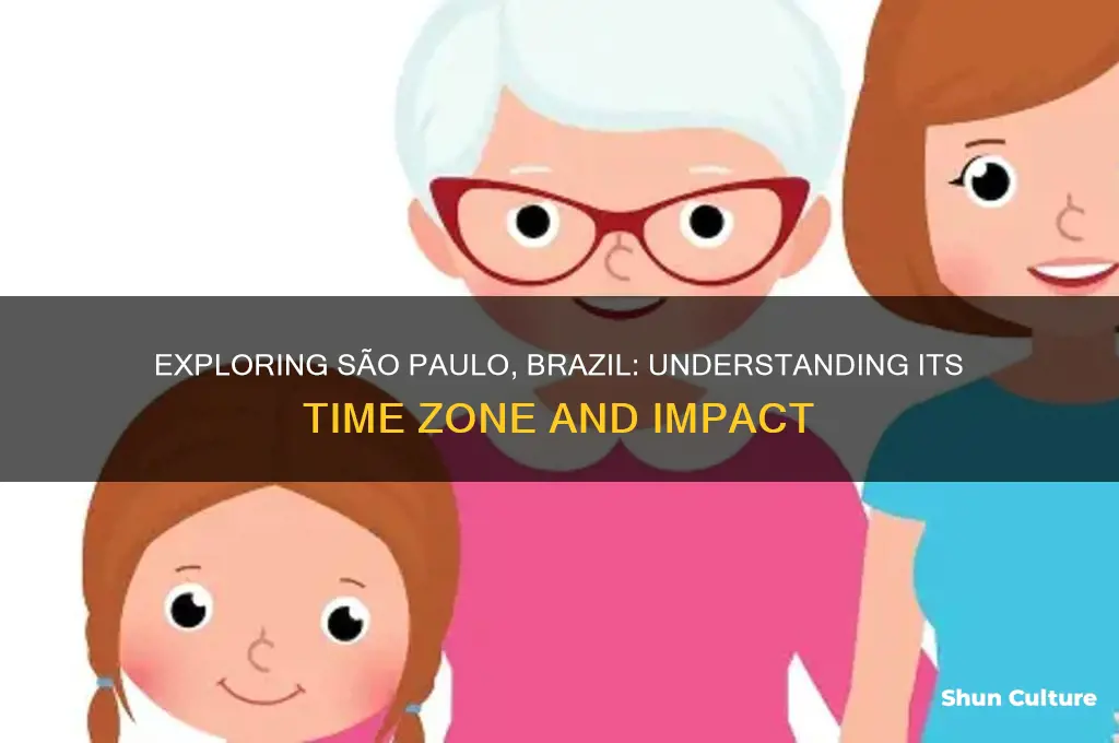 what is sao paulo brazil time zone