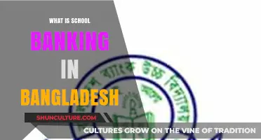 Understanding School Banking in Bangladesh: Benefits, Process, and Impact