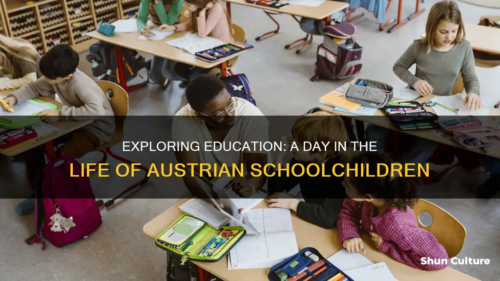 what is school like for children in austria