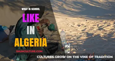 Exploring Algeria's Education System: A Day in Algerian Schools