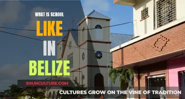 Belize's Unique School Experience: A Cultural Education