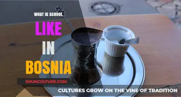 Exploring Bosnia's Education System: A Day in the Life of Students
