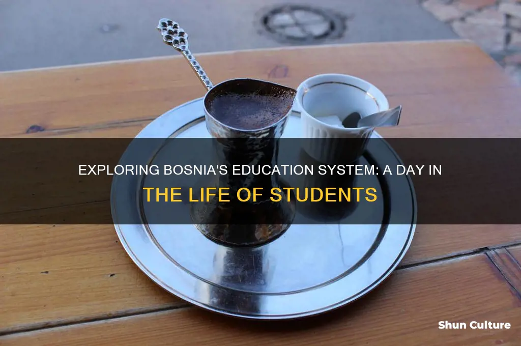 what is school like in bosnia