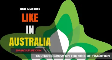 Exploring Australia's Scouting: Adventure, Community, and Outdoor Skills Down Under