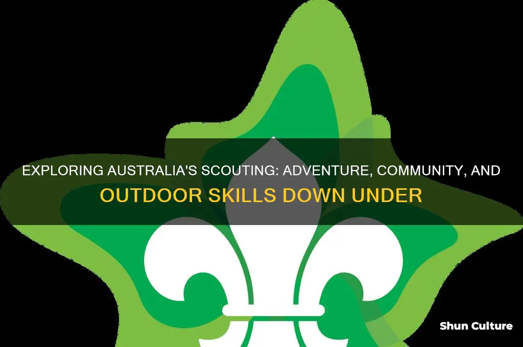 what is scouting like in australia