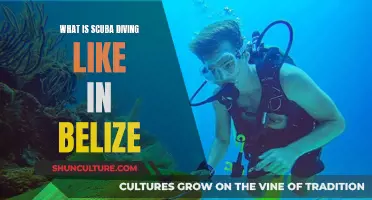 Belize's Underwater Paradise: A Scuba Diver's Dream