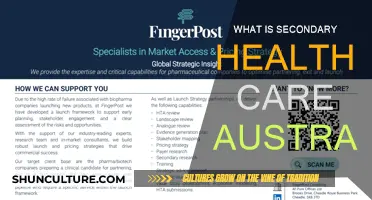 Understanding Australia's Secondary Health Care System