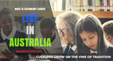 Exploring Australia's Secondary School Experience: Insights and Expectations