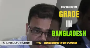 Understanding Selection Grade in Bangladesh: A Comprehensive Guide