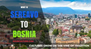 Exploring the Connection: Understanding Sereavo's Historical Ties to Bosnia
