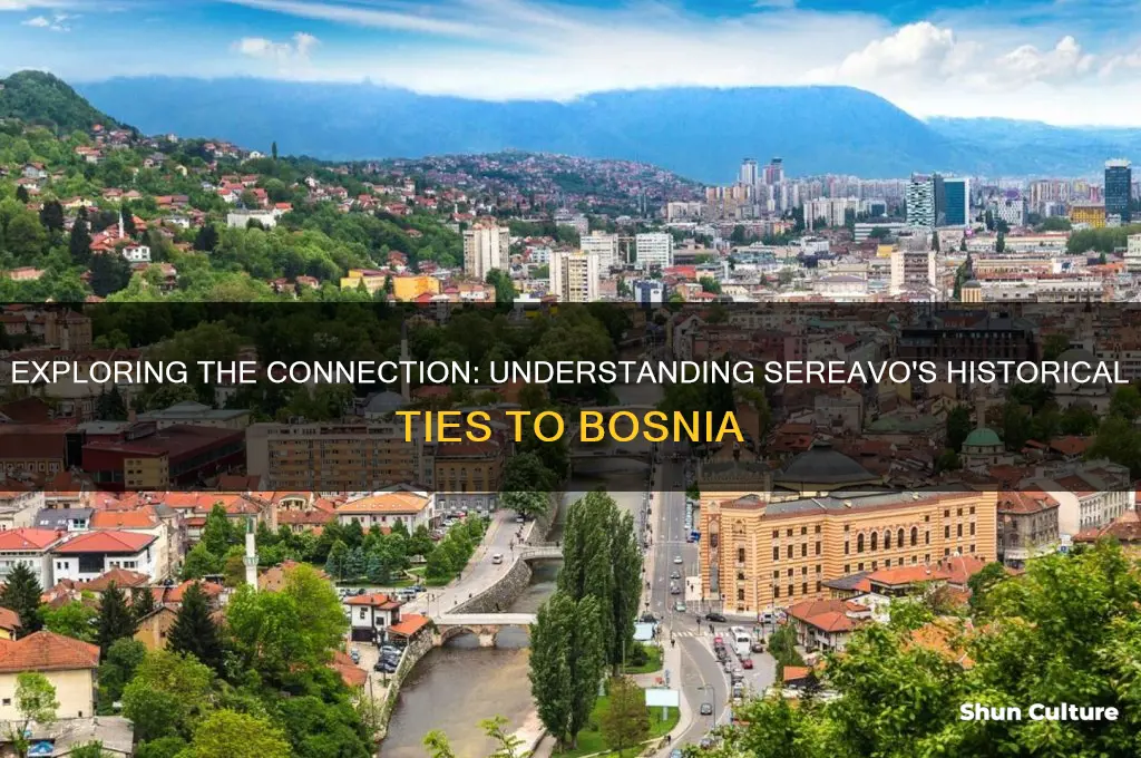 what is sereavo to bosnia