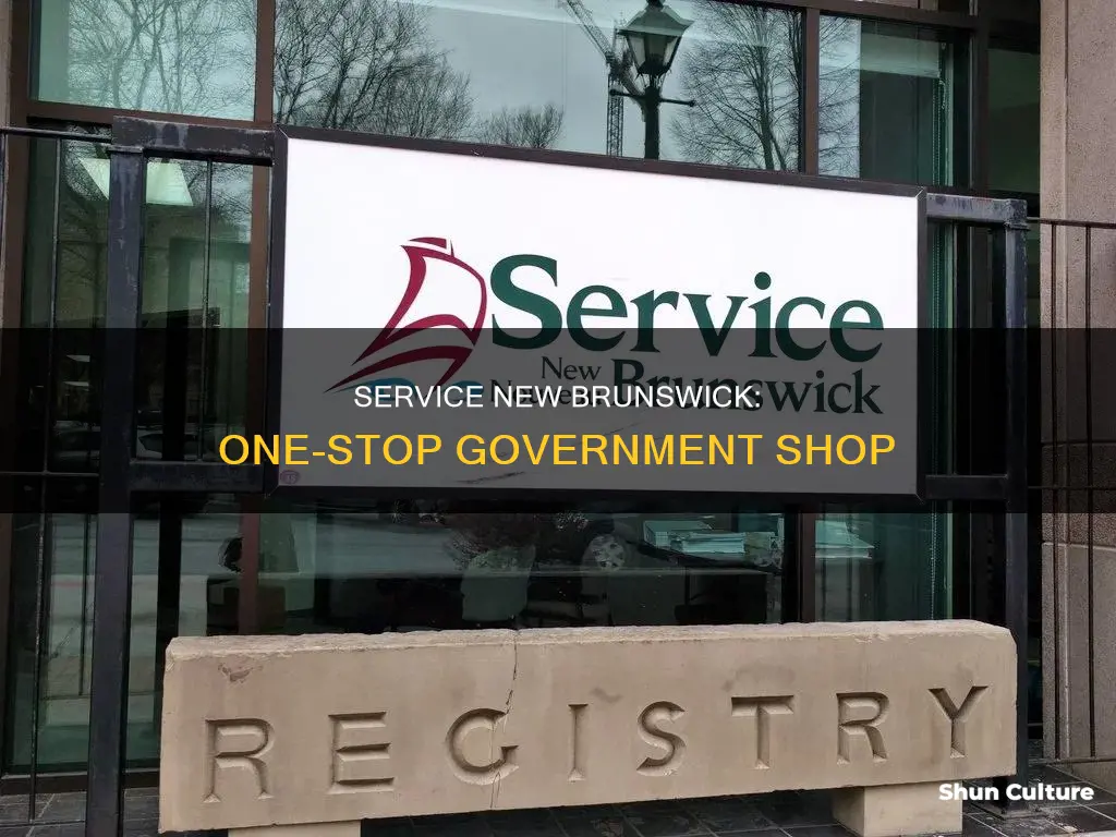 what is service new brunswick