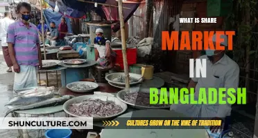 Understanding Bangladesh's Share Market: Basics, Opportunities, and Investment Tips