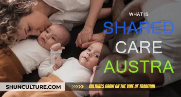 Understanding Australia's Shared Care System