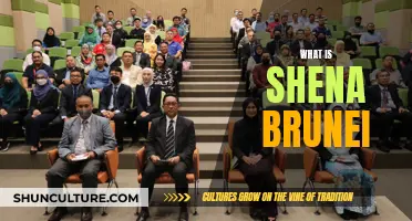 Shena Brunei: Traditional Healer or Cultural Icon?