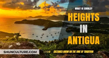 Discover Antigua's Shirley Heights: History, Views, and Sunday Parties
