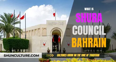 Bahrain's Shura Council: Understanding its Role and Influence