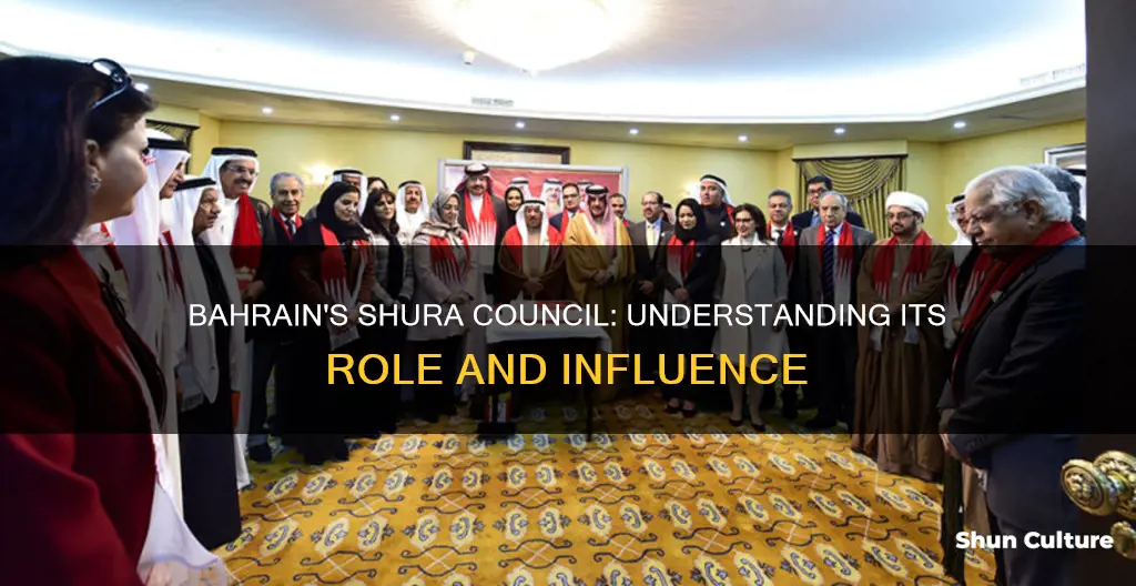 what is shura council bahrain