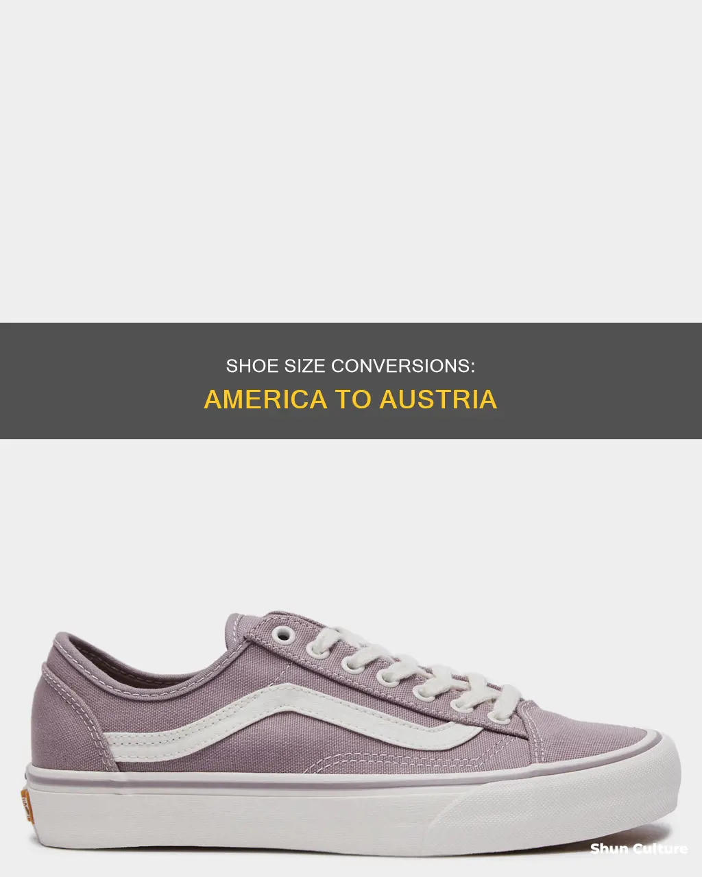 what is size 10 in america austrian shoe size
