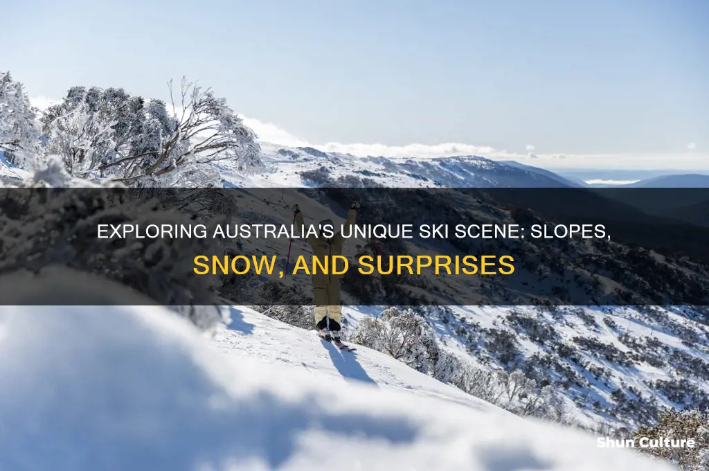 what is skiing like in australia