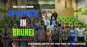 Understanding Small Medium Enterprises in Brunei