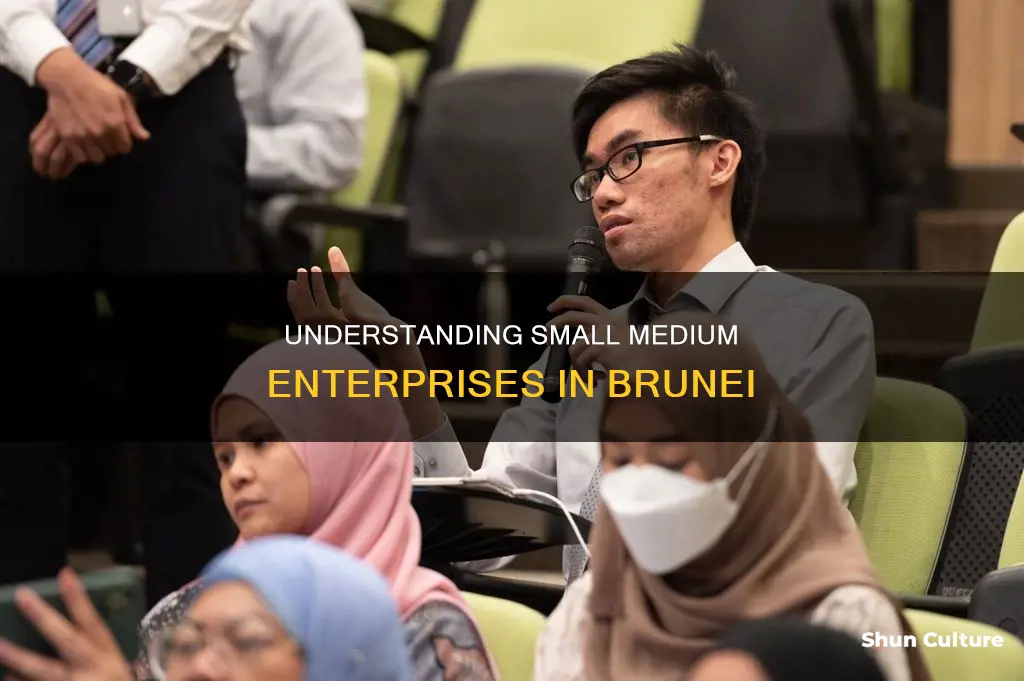 what is small medium enterprise in brunei