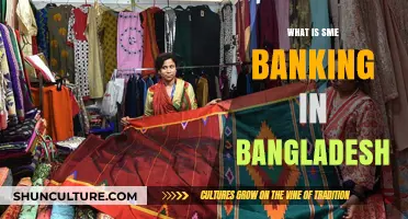 Understanding SME Banking in Bangladesh: Opportunities and Challenges