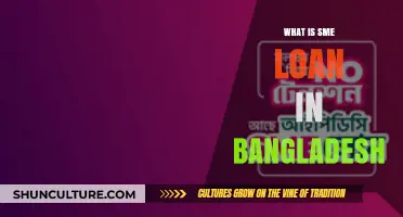 Understanding SME Loans in Bangladesh: A Comprehensive Guide for Businesses