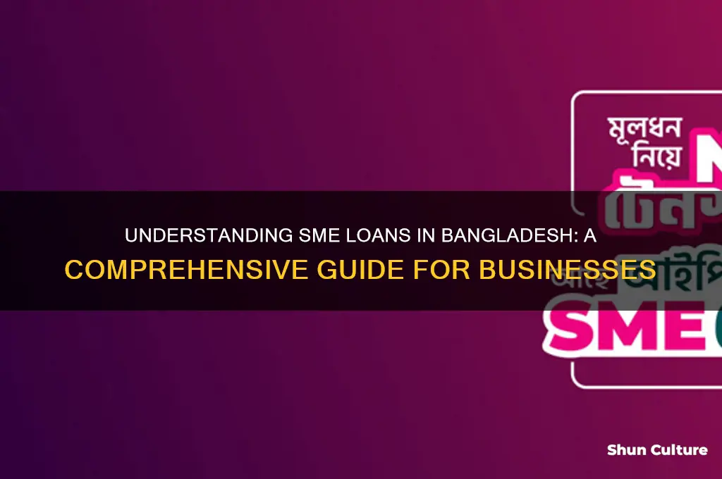 what is sme loan in bangladesh
