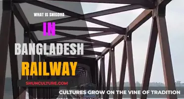 Understanding Snigdha: Bangladesh Railway's Digital Ticketing System Explained