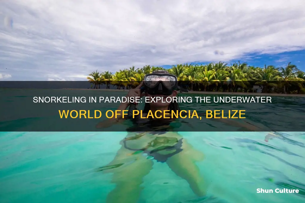 what is snorkeling like off the beach in placencia belize