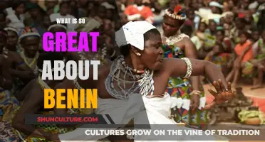 Exploring the Hidden Gems: What Makes Benin Truly Special