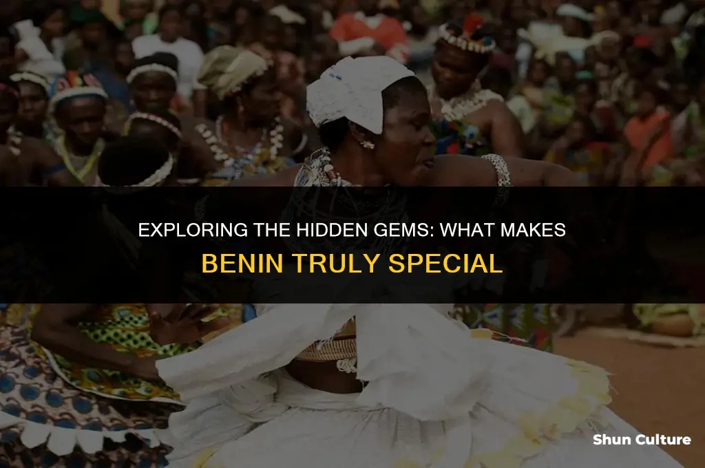 what is so great about benin