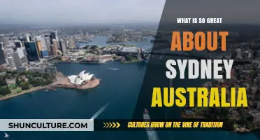 Sydney's Charm: Iconic Beaches, Vibrant Culture, and Stunning Harbor Views