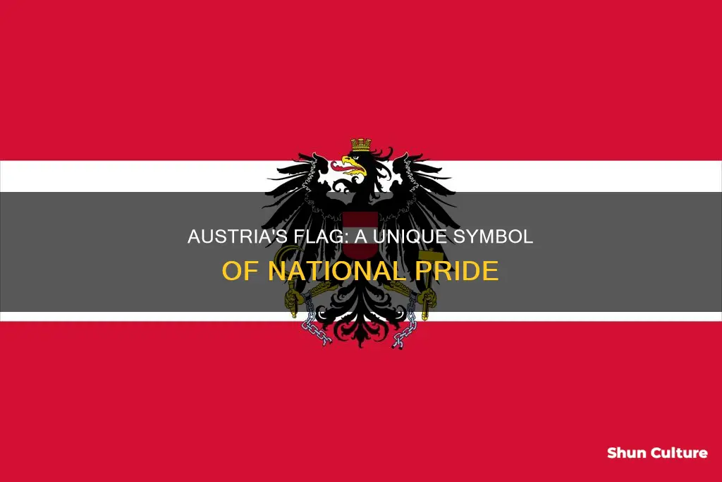 what is so special about the austrian flag