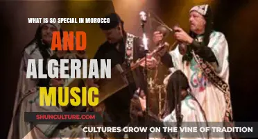 Exploring the Unique Rhythms and Traditions of Moroccan-Algerian Music