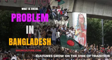 Understanding Bangladesh's Social Challenges: Issues, Impacts, and Solutions