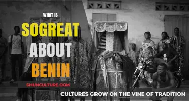 Exploring the Hidden Gems and Cultural Richness of Benin
