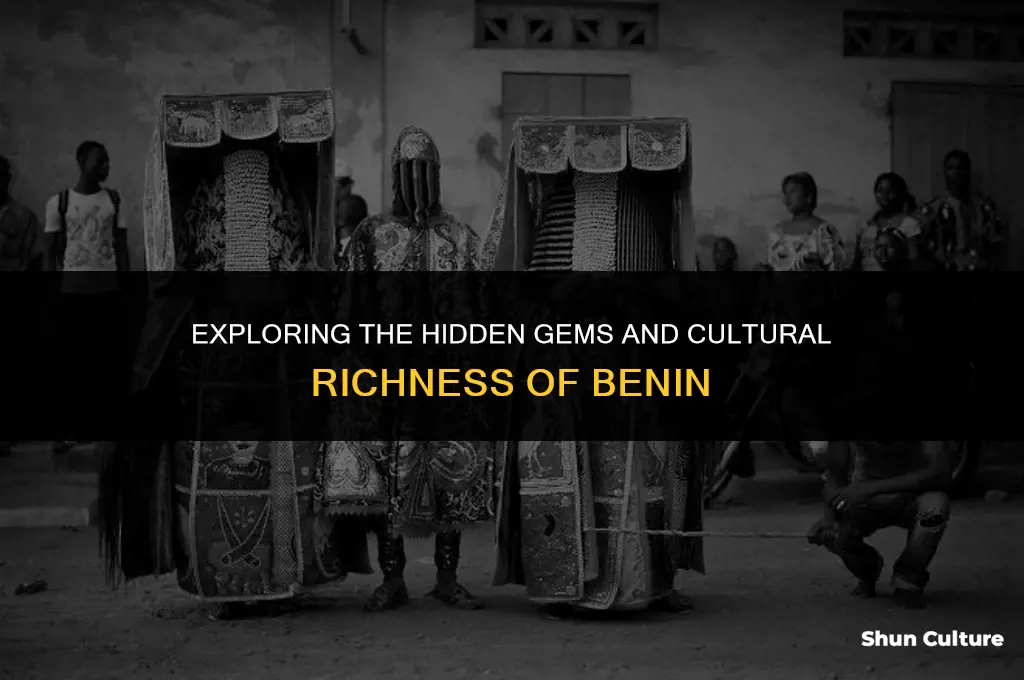 what is sogreat about benin